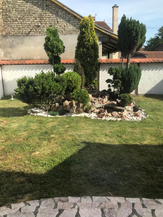 Apartman Tanja Subotica Zewnętrze zdjęcie